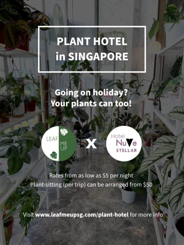 Plant-Hotel-Singapore